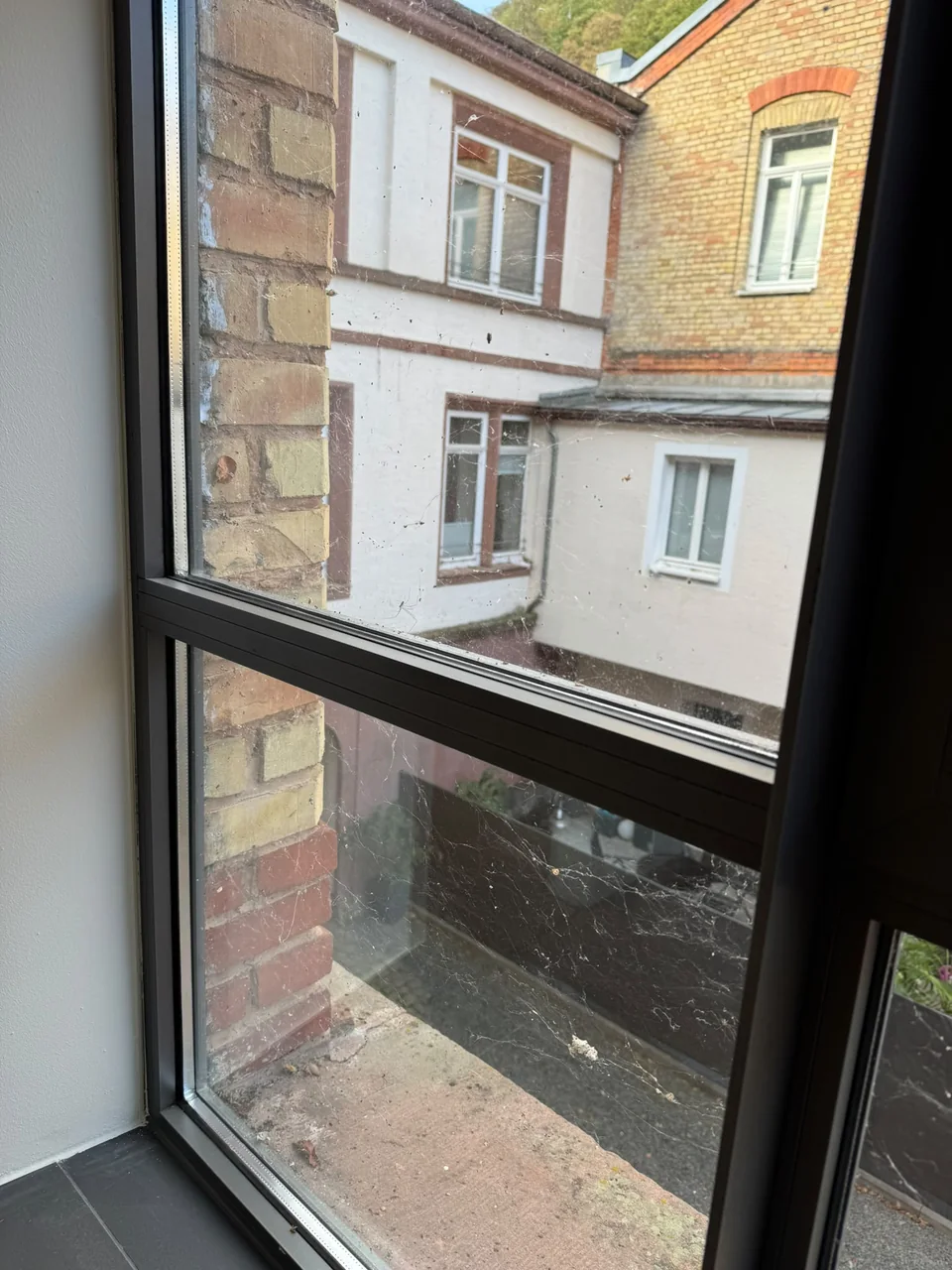 Fenster mit Spinnweben und Ablagerungen vor der Reinigung